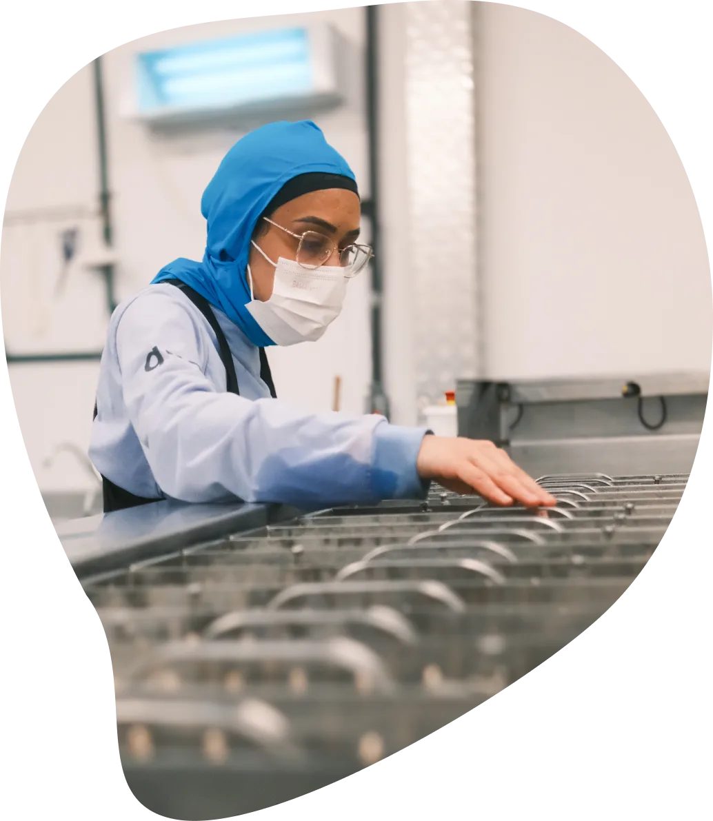 Colaboradora na produção Easyice